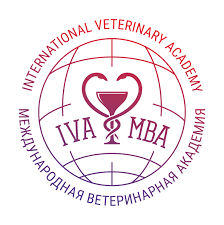 Купить диплом МВА